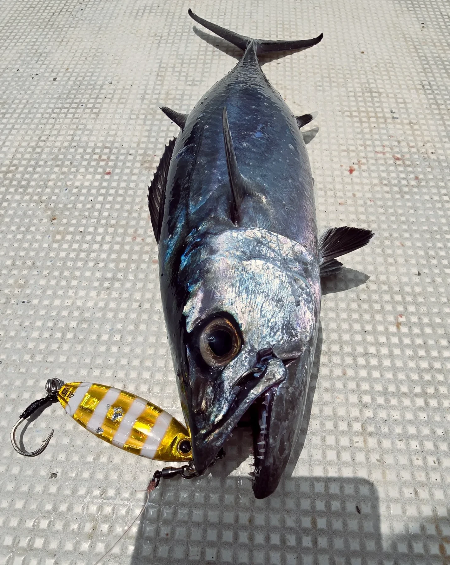 Magic Jig | Premium Metal Jig for Slow Jigging - 9