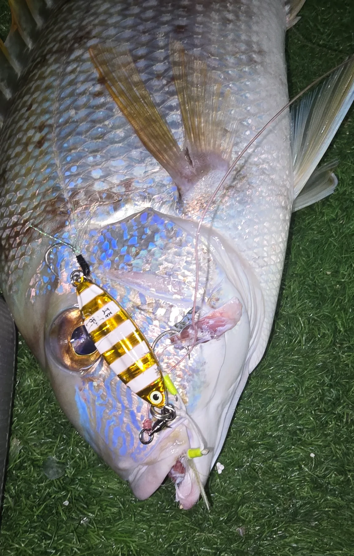 Magic Jig | Premium Metal Jig for Slow Jigging - 10