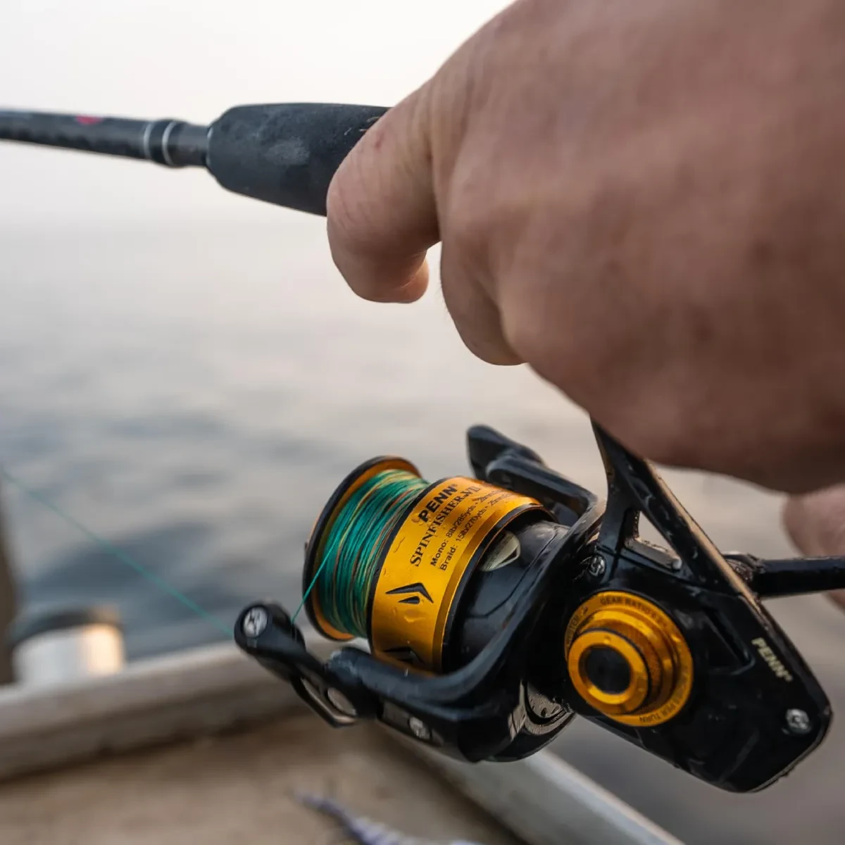 Penn Spinfisher Spinning Reel - 8