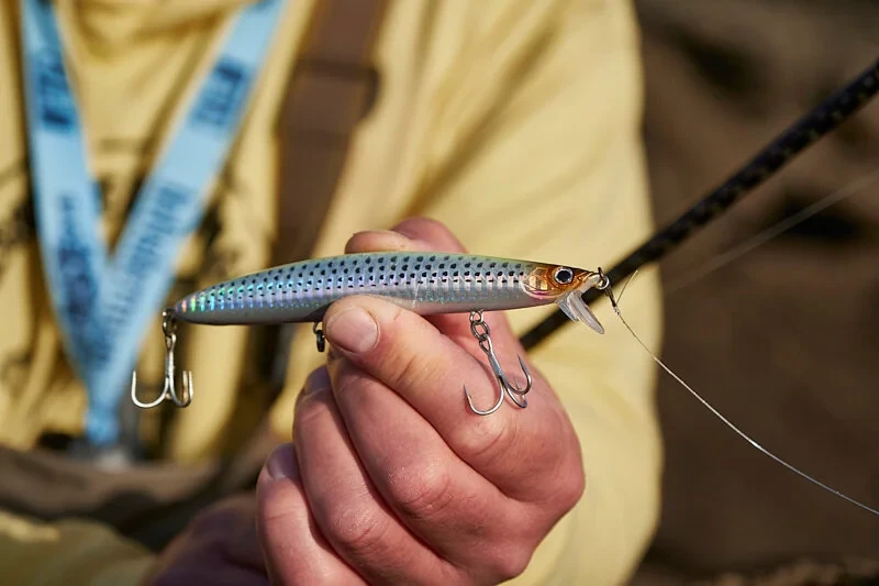 IMA Fishing Baits - 6