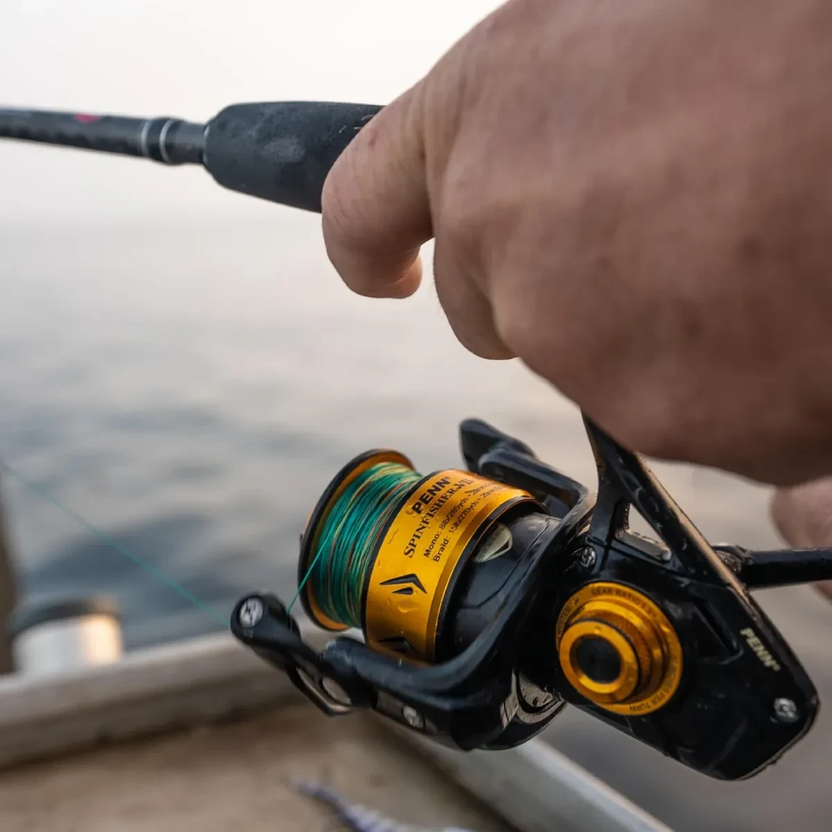 Penn Spinfisher Spinning Reel - 6