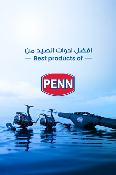 Qareb inernational offer