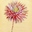 Small mondrian crisantemo4.jpg?googleaccessid=application bucket access@typee 222610.iam.gserviceaccount