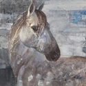Large wa36682 albena hristova appaloosa cavallo horse grigio grey 510x507.jpg?googleaccessid=application bucket access@typee 222610.iam.gserviceaccount