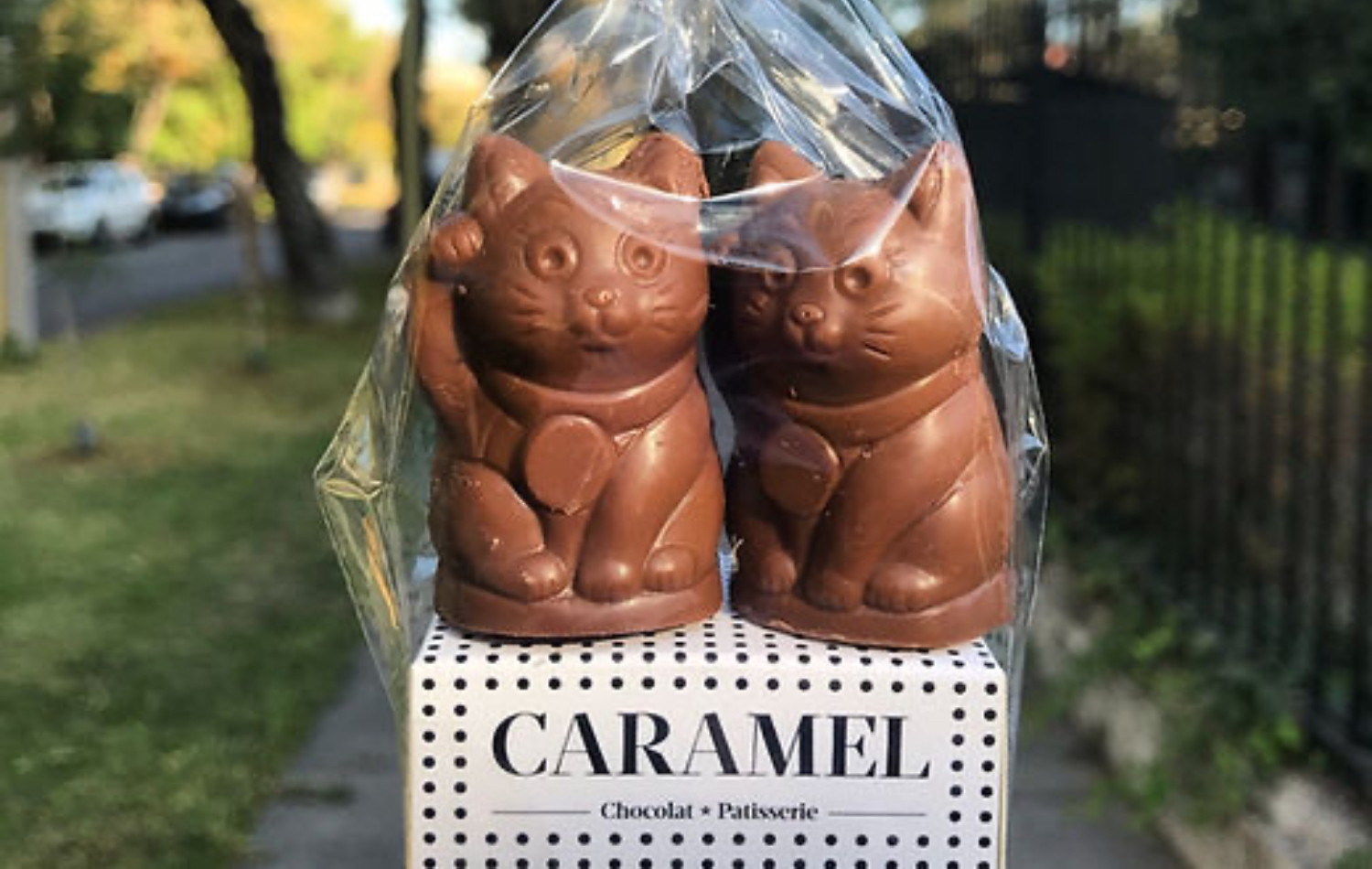 Caramel, foto 3 de 4