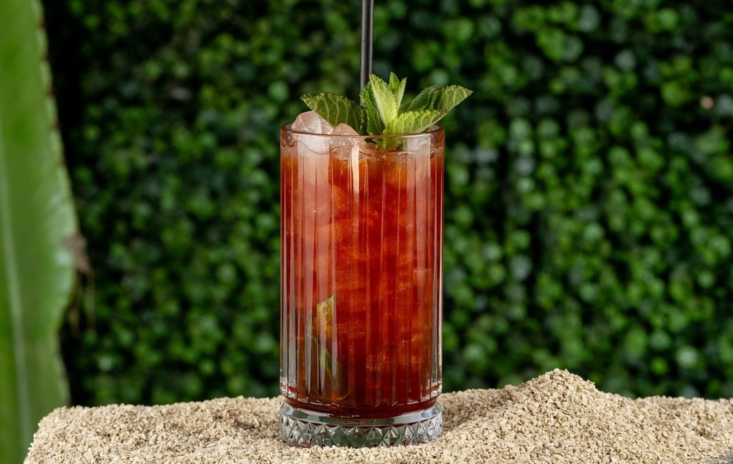 Beergarden ruta 41