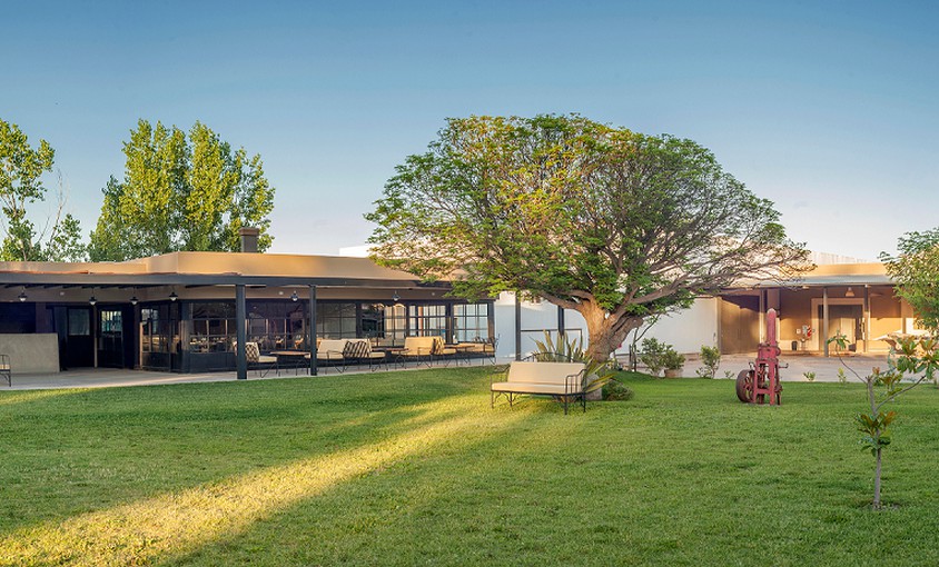 Bodega Martino Wines, foto 2 de 3