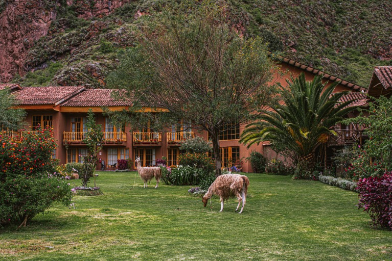 Lamay Lodge: Valle Sagrado en estado puro, foto 6 de 6