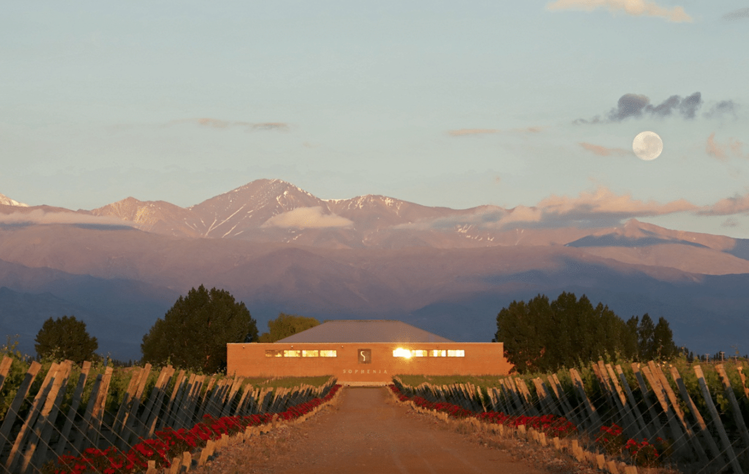 Blending Session en Finca Sophenia, foto 1 de 2