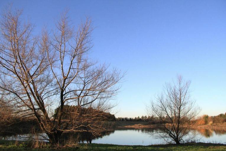 ¡Día de campo!, foto 2 de 3