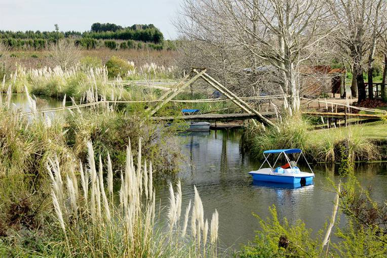 ¡Día de campo!, foto 1 de 3
