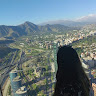 Avatar de Priscilla