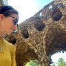 Avatar de Josefina