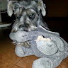 Avatar de Facundo