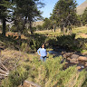 Avatar de Virginia
