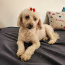 Avatar de Marcela