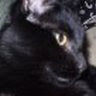 Avatar de Esther