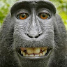 Avatar de marisol