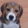 Avatar de Hector