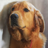Avatar de Sofia