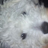 Avatar de Tomy-2004
