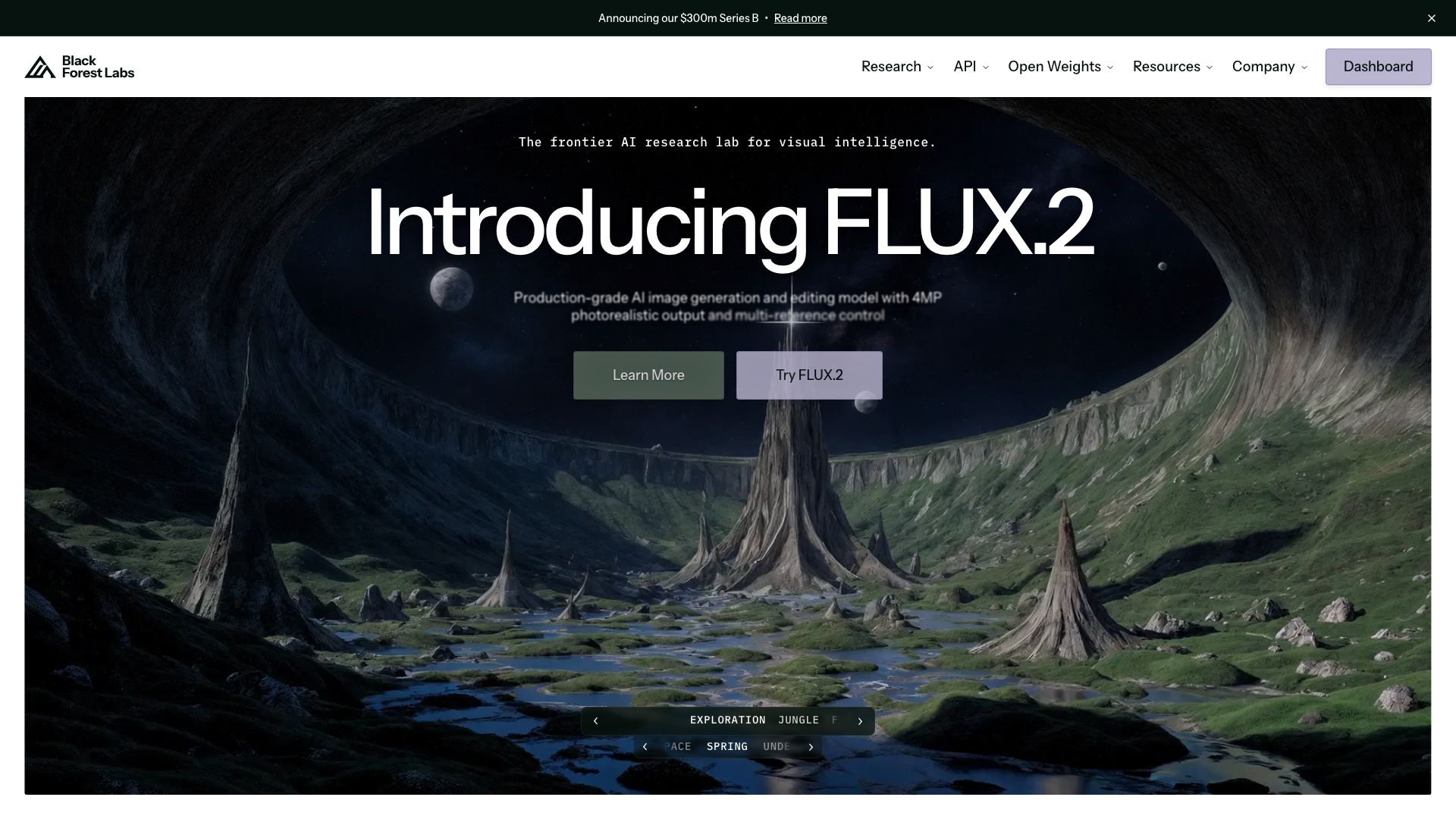 Screenshot of BFL.AI: AI-Powered Financial Management for SMEs