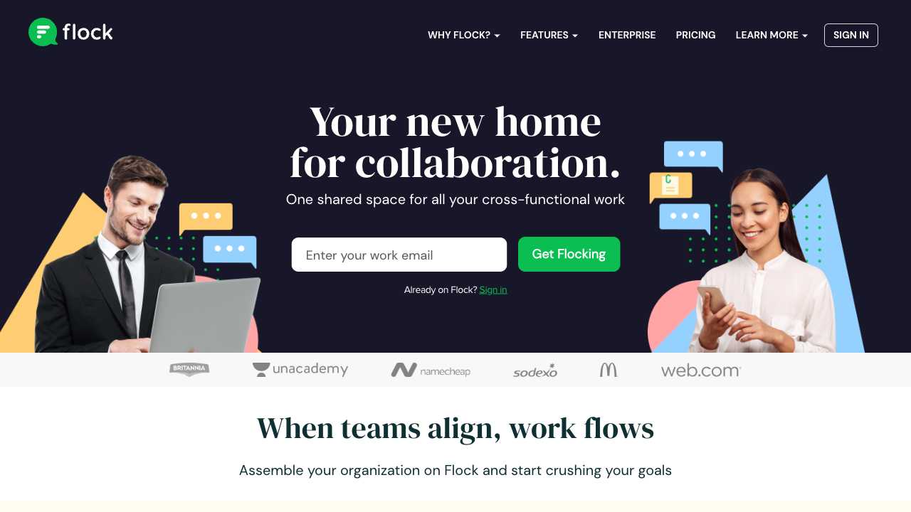 Screenshot of Flock