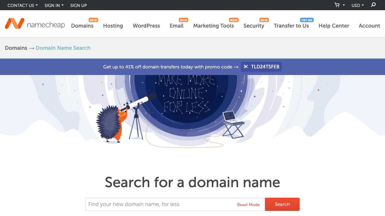 Screenshot of Domain Name Search by Namecheap