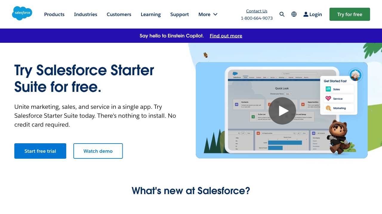 Screenshot of Salesforce