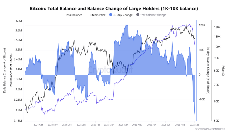 Anacarol_serra onlyfans leak i had watched Ann s ads for a