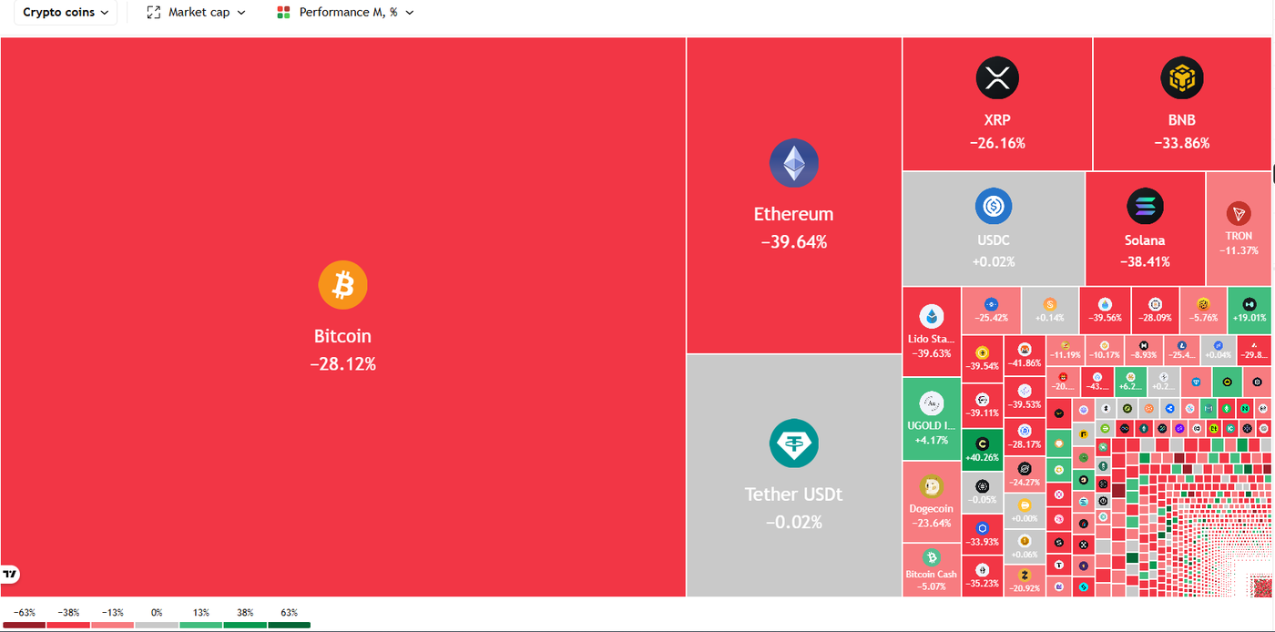 2026-02-18 00_58_29-