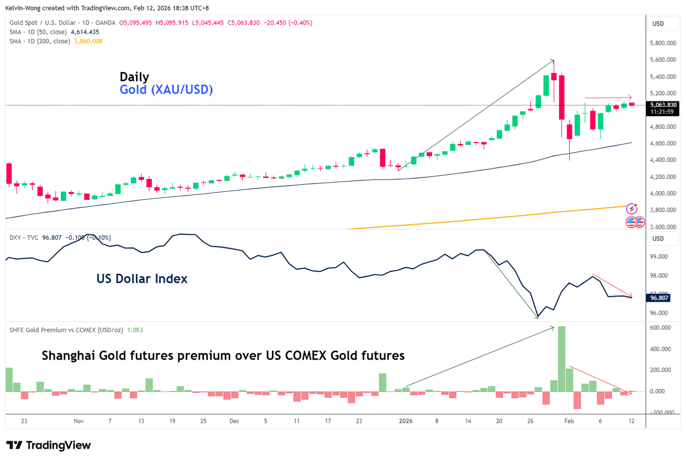 Daily chart of Gold XAUUSD_US Dollar Index_Shanghai Gold Premium_2026-02-12