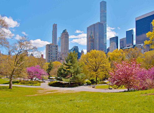 What are the Five Currency Pairs to Watch in March and Why?