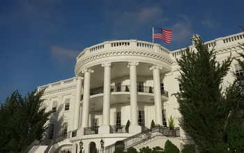 100 Days of Trump: How have financial markets performed?