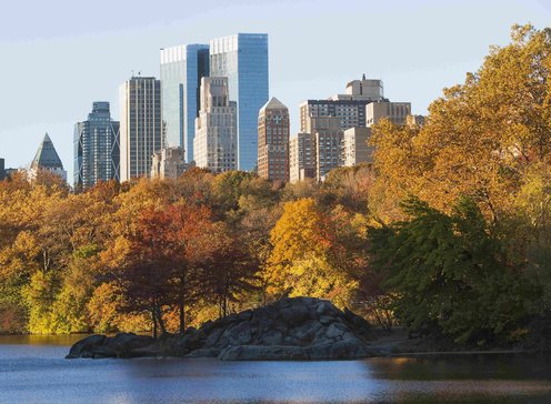 What are the Five Currency Pairs to Watch in October 2024 and Why?