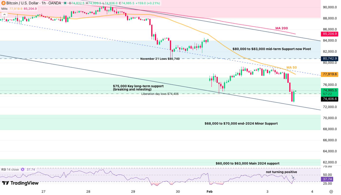 Screenshot 2026-02-03 at 3.02.38 PM