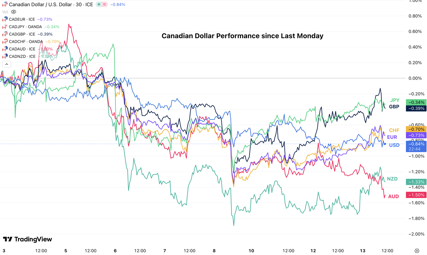 cad perf 1305