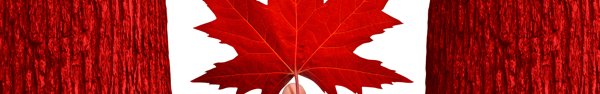 canada-maple-tree.jpg