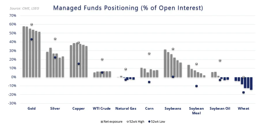 metals positioning 120126