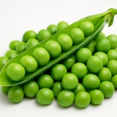 68b4e44ff4b9dee13806eb59