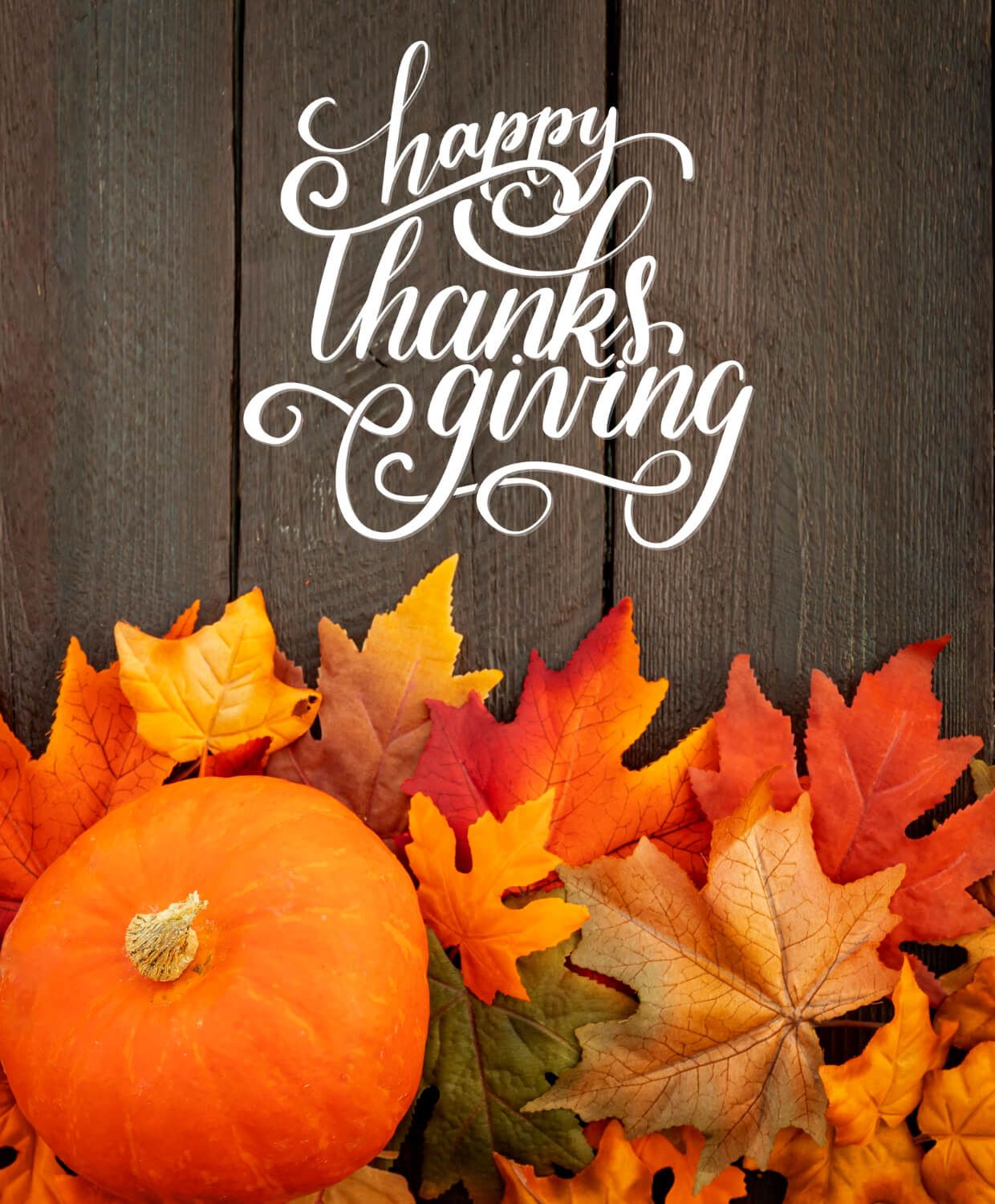 An autumn-themed graphic showcasing leaves, pumpkins, and the quote 'Give thanks every day'.