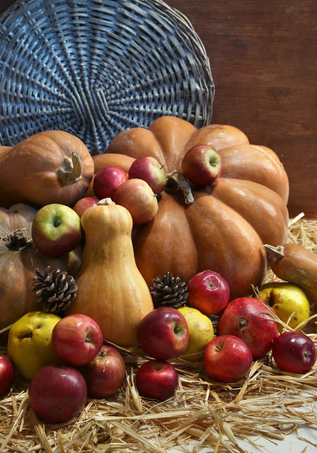 Cornucopia filled with harvest fruits and vegetables