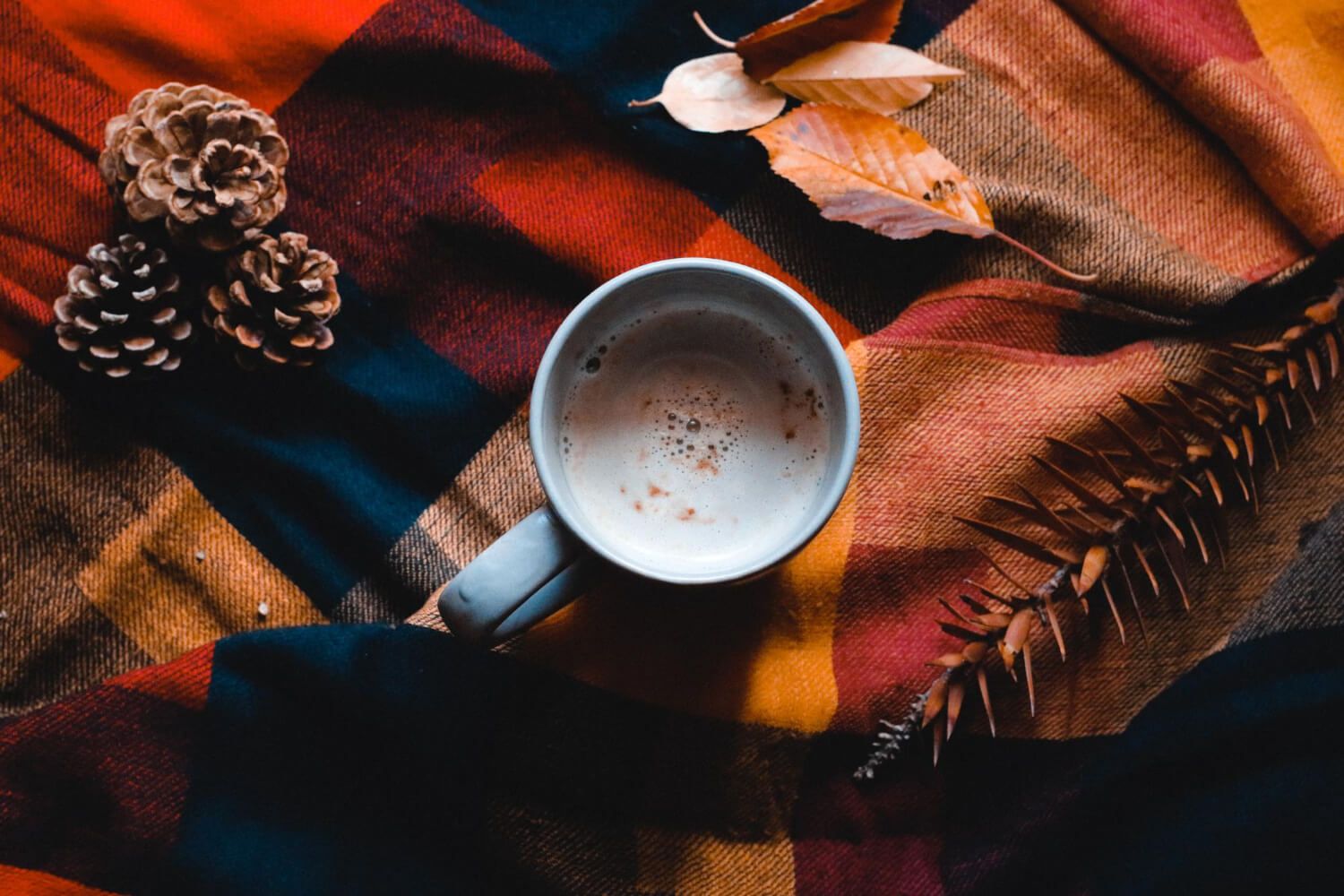 Cozy cup of pumpkin latte beside a warm blanket