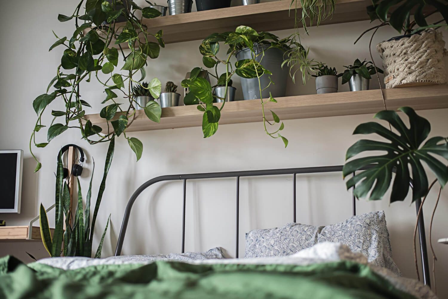 Dorm room with wood hangers and green plants