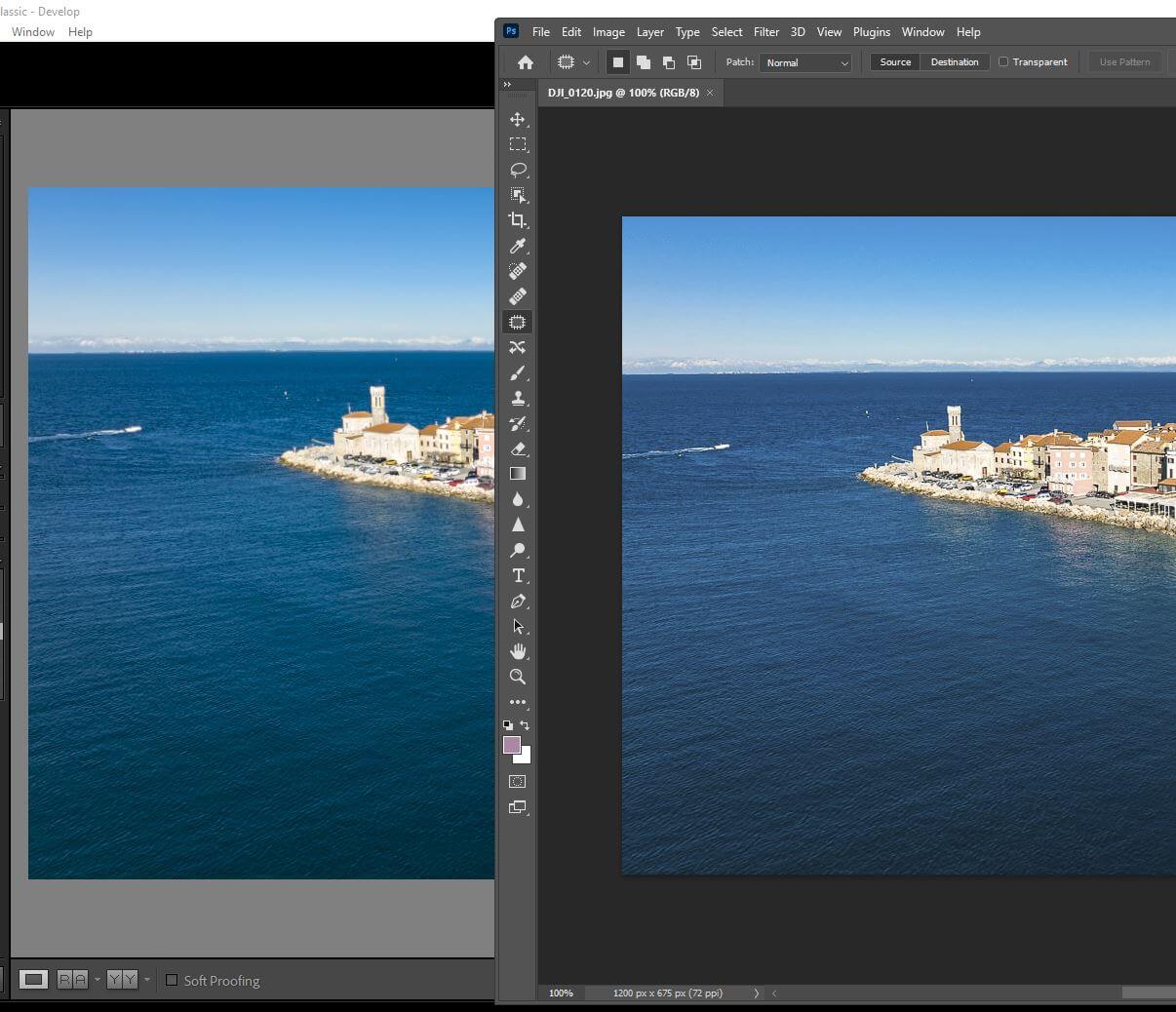 Selection screen toggling between DNG and JPEG format in Lightroom app