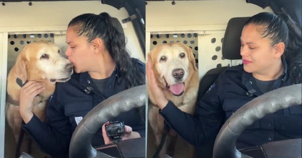 Portada: Perro policía se jubila tras 9 años y su dueña se quiebra: "Gracias, Bubu"