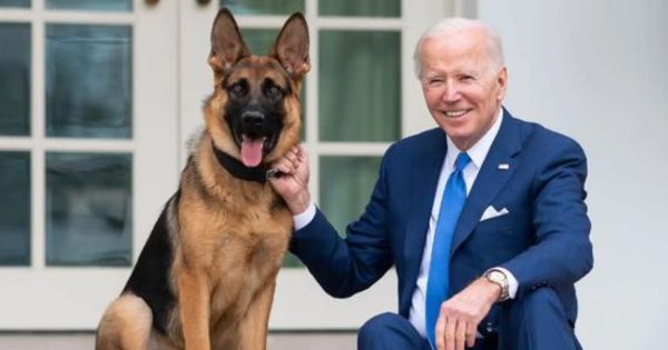 Joe Biden: mascota del presidente atacó al personal de la Casa Blanca