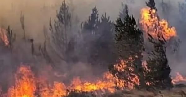 Portada: Alerta roja del Senamhi para 22 regiones: se presentarán condiciones atmosféricas de incendios forestales