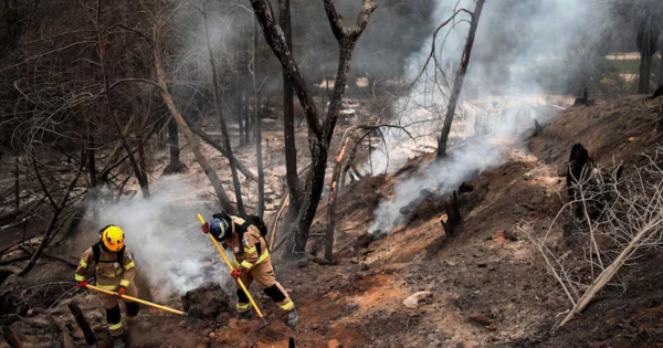 Portada: Chile: devastadores incendios forestales dejan al menos 123 muertos