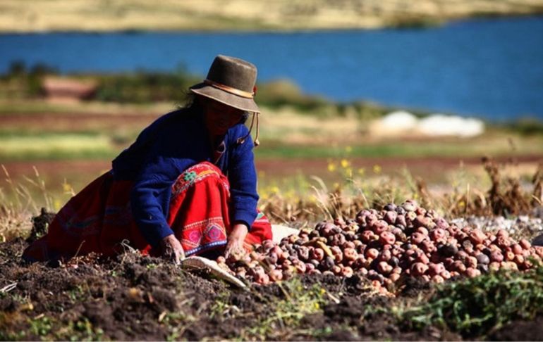 Gobierno otorgará bono a agricultores afectados por la sequía